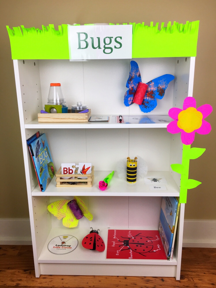 “Bugs” Theme Learning Shelf