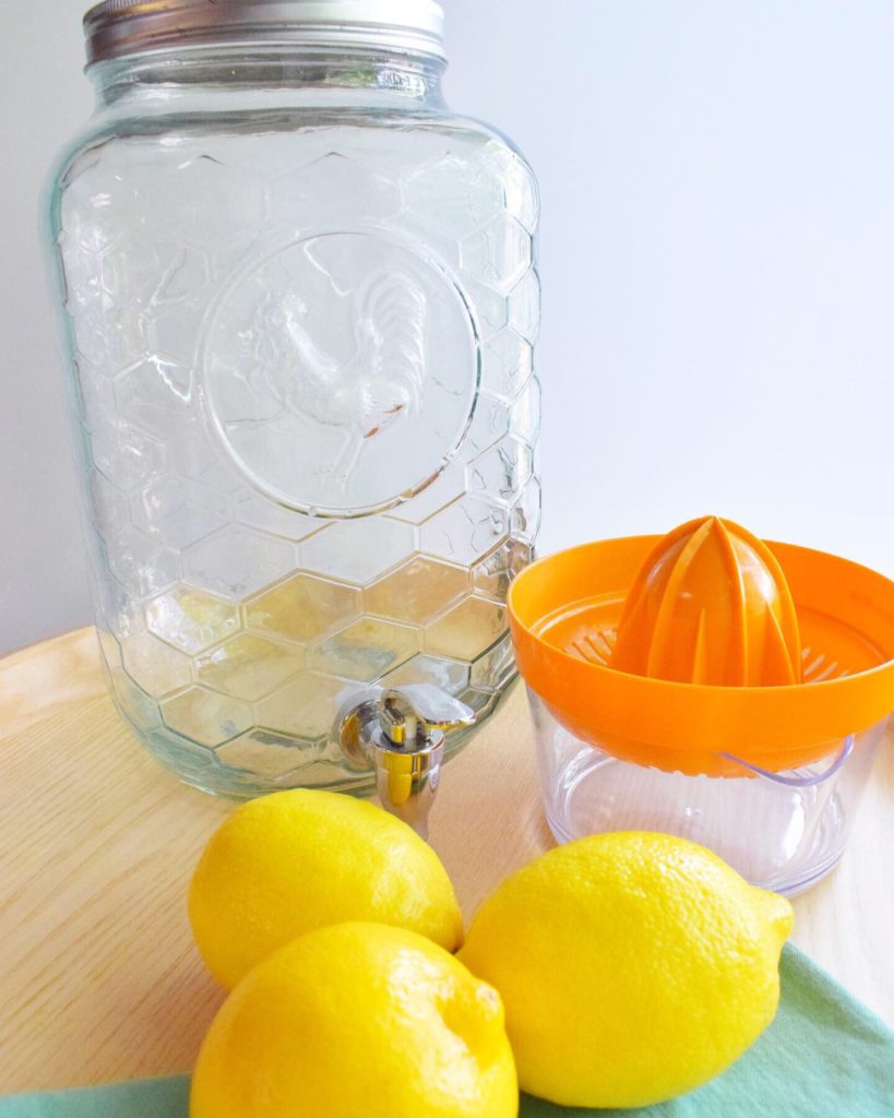 Lemonade activity