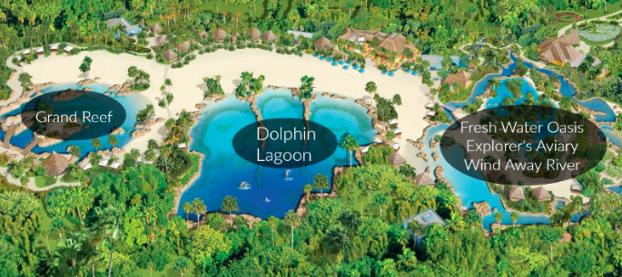 Enjoy swimming with dolphins at Dolphin Lagoon