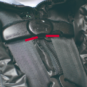 adjust chest clip at armpit level above the red alignment marker.