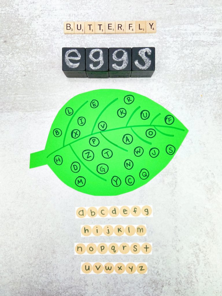 Uppercase Lowercase Letter Matching activity